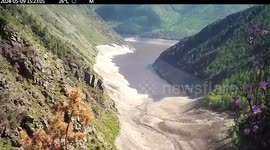 Bear shakes wildlife camera as it investigates device