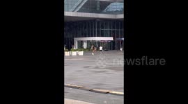 China: Dog Is Riding Skateboard to Chase Its Owner