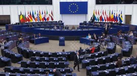 European Parliament member calls for protection of civilians in Gaza