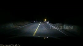 Yak wins after butting heads with car during night-time clash