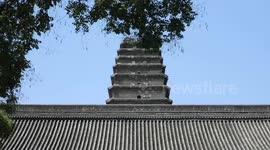 Faces of China: A volunteer tour guide's enthusiasm for museums