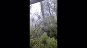 temp