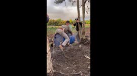 Two people fall off shaking drum tied between trees in Santiago, Chile