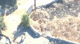 Palestine: Hezbollah Terrorist Commander and Cells Eliminated