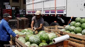 Brazil: Brazil sees rising food, energy costs as historical drought bites