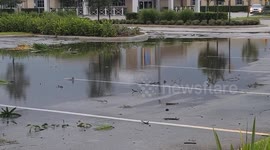 Tornado Strikes Palm Beach, FL
