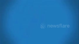 Cận cảnh bánh trung thu Đồng Khánh bị mốc dù còn thời hạn sử dụng