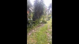 Florida residents shares devastating footage of Hurricane Milton's impact on his home