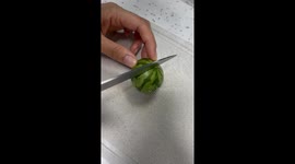 Little Watermelon Hat for a Cat