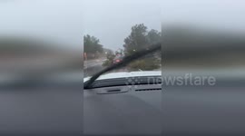 US: Homes and Cars Crushed by Toppled Trees in Hillsborough County