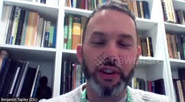 Study identifies 9 species of critically endangered Chinese salamander