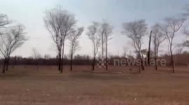 Brazil: Life protection efforts underway in Sao Paulo's nature reserve after fire devastation