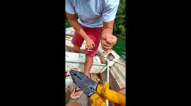 Galegão da pesca X Mandi