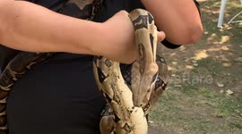 Watts’s 2 Wildlife Community Event