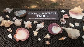 Watts’s 2 Wildlife Community Event