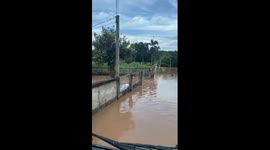 Dog struggling to stay afloat in floodwater rescued after being abandoned by owners in Thailand