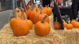 US: San Francisco Little Saigon Celebrates Family Fun Day