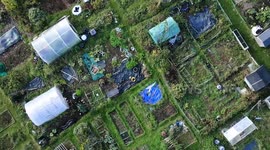 Nearly 70 allotment holders booted off their plots after 130 years