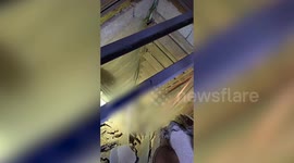 Lebanon: The IDF Apprehended a Hezbollah Militant in Southern Lebanon