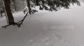 Tucker exploring the snow for the first time.