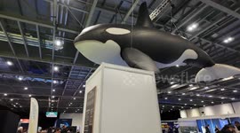 Day one of this years New Scientist LIve saw a packed out event full of fun Science