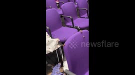 UK: Thousands Of Insects Released, Disrupting LGB Alliance Conference In London