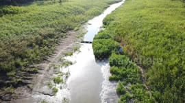 Droughts impact the Amazon Rainforest forcing locals to adapt to rapidly changing climate conditions.