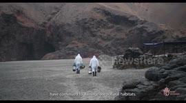 Oil Spill of the coast of Peru threatens marine wildlife in the Galápagos Islands off of Ecuador.