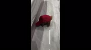 temp