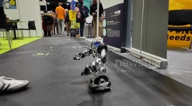 All the fun and excitement’s from New Scientist Live 2024