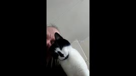 this is 2e n me...we are having a serious talk..2e is the father of whitenose and blacki is the mother..shes around...whitenose..their dughter is no lenger..wanna know more?