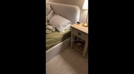 Found a Big Spider in My Pillow