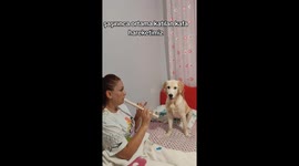 Köpeğimin şaşırınca herkesi güldüren o kafa hareketi