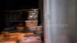 Officers foiled the smuggling of 6,514 illegal birds in Indonesia