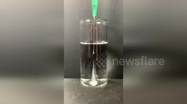 US: Scientists Create Web-Slinging Silk Technology