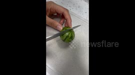 China: Little Watermelon Hat for a Cat