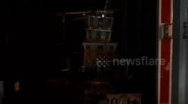 Police rescue thousands of smuggled birds at port in Indonesia