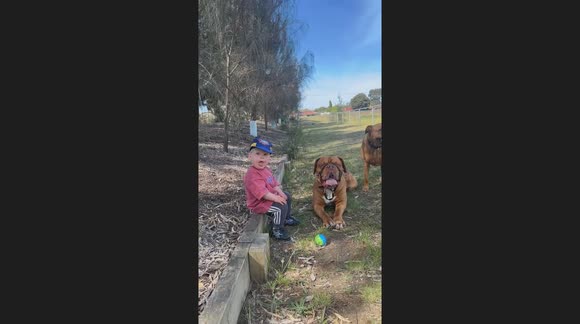 Toddler Mimics Panting Pup