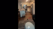 temp