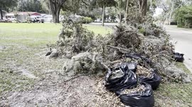 Orange Park Storm Debris Uncollected
