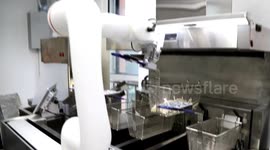 China: Beijing grants first food service license for robot chefs