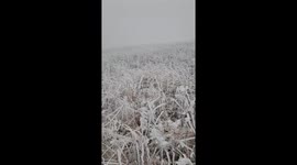 Snowfall captured on Big Bald, Yancey County, USA