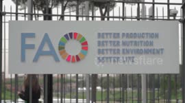 Chinese agricultural scientists win FAO Achievement Award