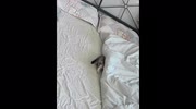 temp