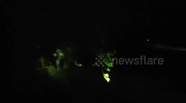 Elephant chaos unfolds in northeastern India as herd enters residential area at night