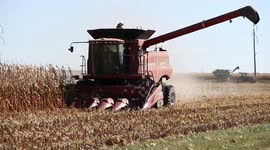 Central Illinois Corn Harvest