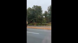 L.L.Bean Bootmobile Sighting