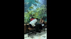 Scuba Diver Helps With Proposal at Aquarium