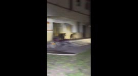 Bear family strolls in front of shops in Tibet