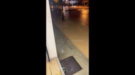 Lizard spotted in flood waters in Gerik, Perak